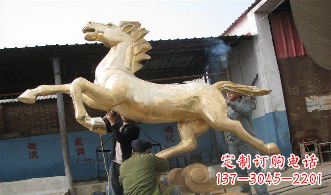 徐州马铭精铸