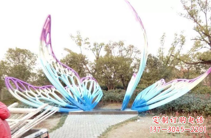 徐州彩色不锈钢蝴蝶