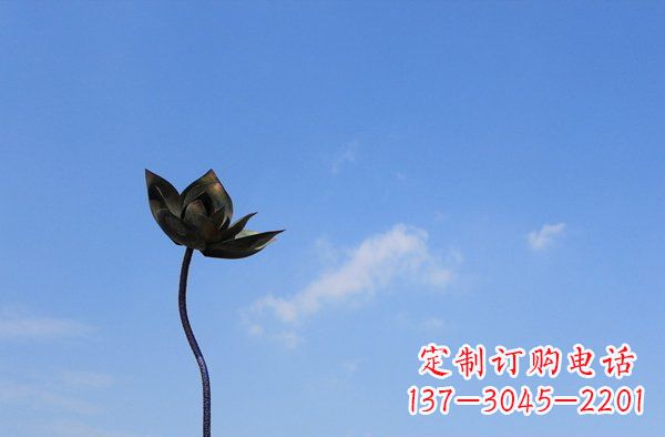 徐州公园不锈钢荷花景观雕塑 (2)