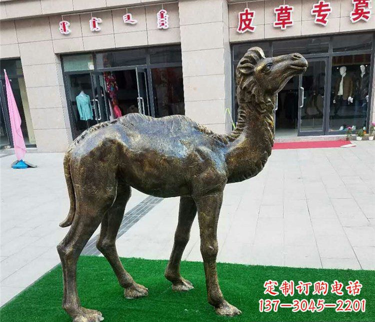 徐州公园小骆驼动物铜雕 (2)