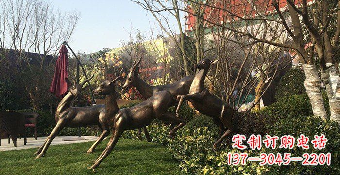 徐州公园铸铜小鹿动物铜雕 (3)