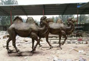 徐州欣赏大自然的艺术之作——骆驼铜雕