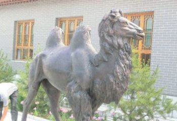 徐州精美的骆驼铜雕，提升您的公园气质