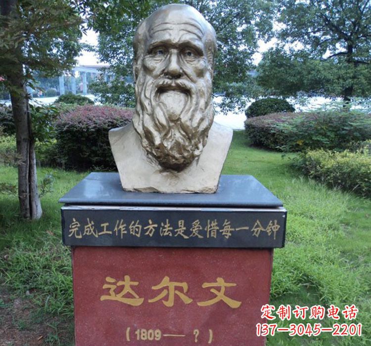 徐州铜雕达尔文头像雕塑