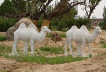 徐州欣赏大自然，石雕骆驼公园动物雕塑邀请您