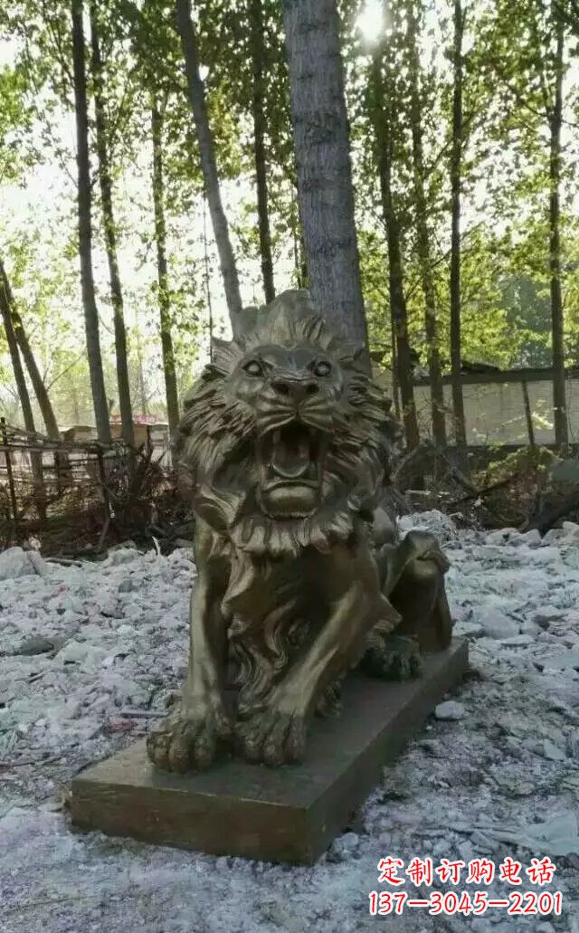 徐州卧着的西洋狮子铜雕 (2)