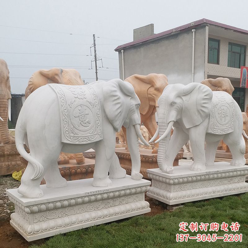 徐州学校石雕大象